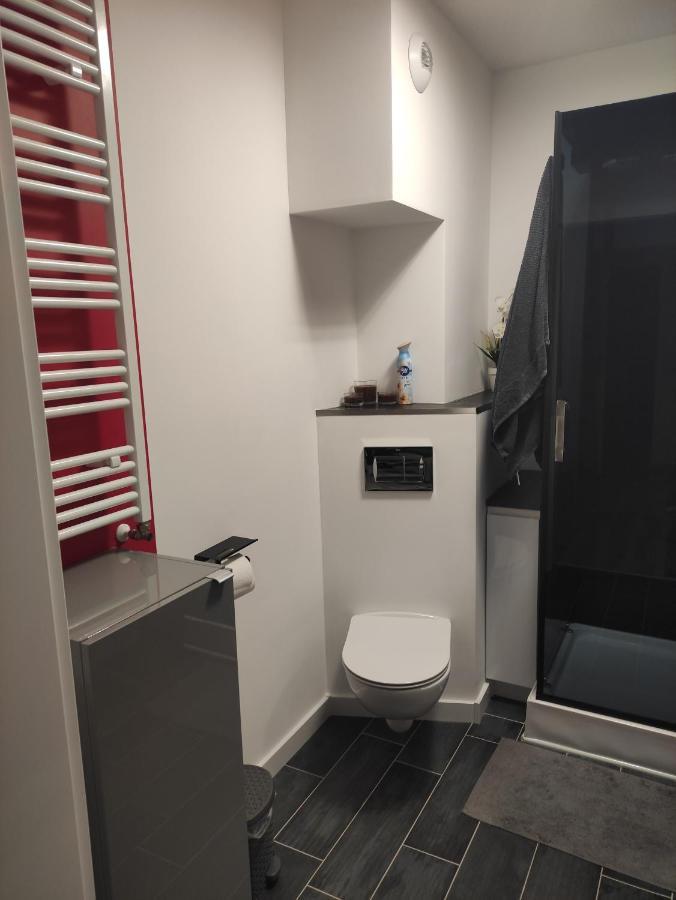 Apartament U Hippkow Jelenia Gora Exterior photo